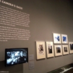 Kubrick and the Camera's Gaze